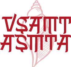 Logo VSAMT